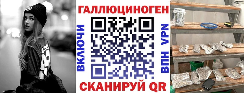 мориарти клад Ардатов Псилоцибиновые грибы Psilocybe